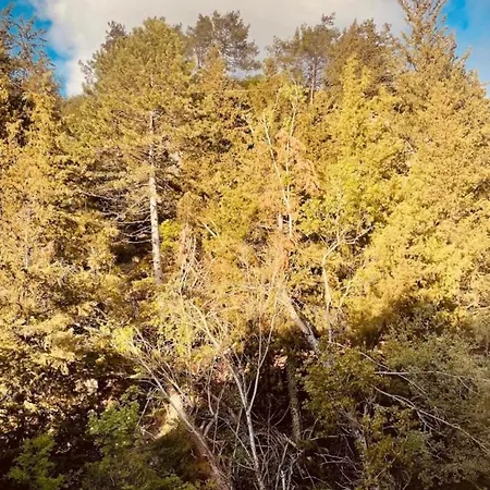 Appartamento Τα Πέτρινα Γεφύρια Dimitsana Esterno foto
